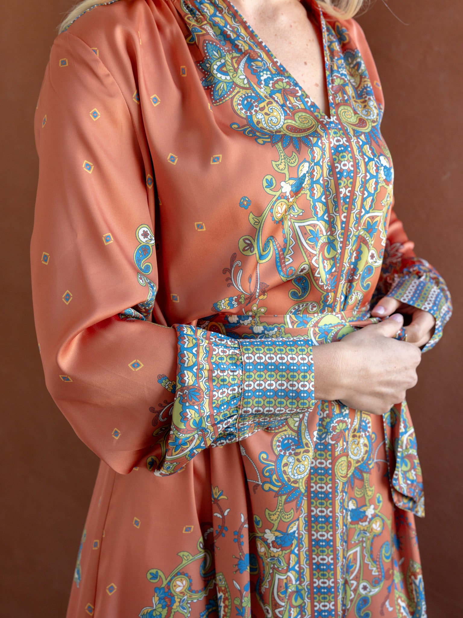 Sara Paisley Dress - Image 4