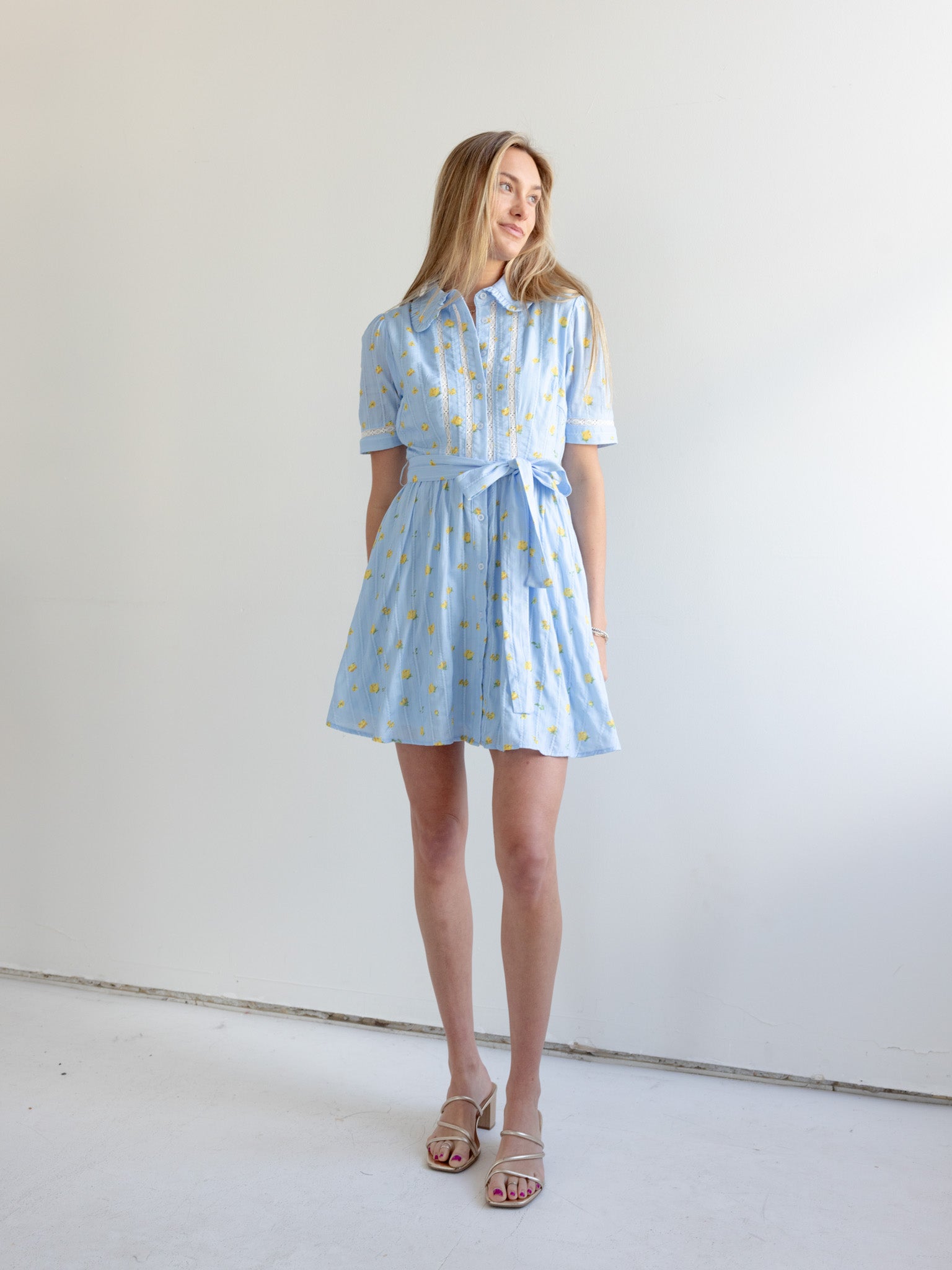 Madi Collared Mini Dress - Image 4